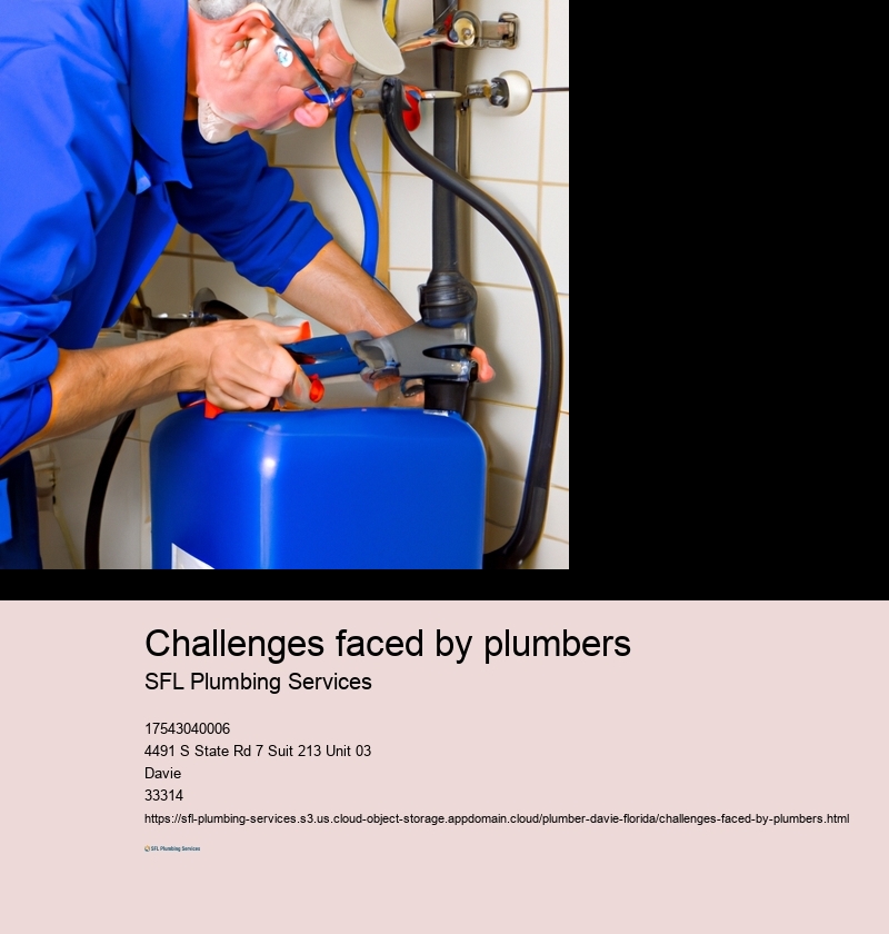 Challenges faced by plumbers