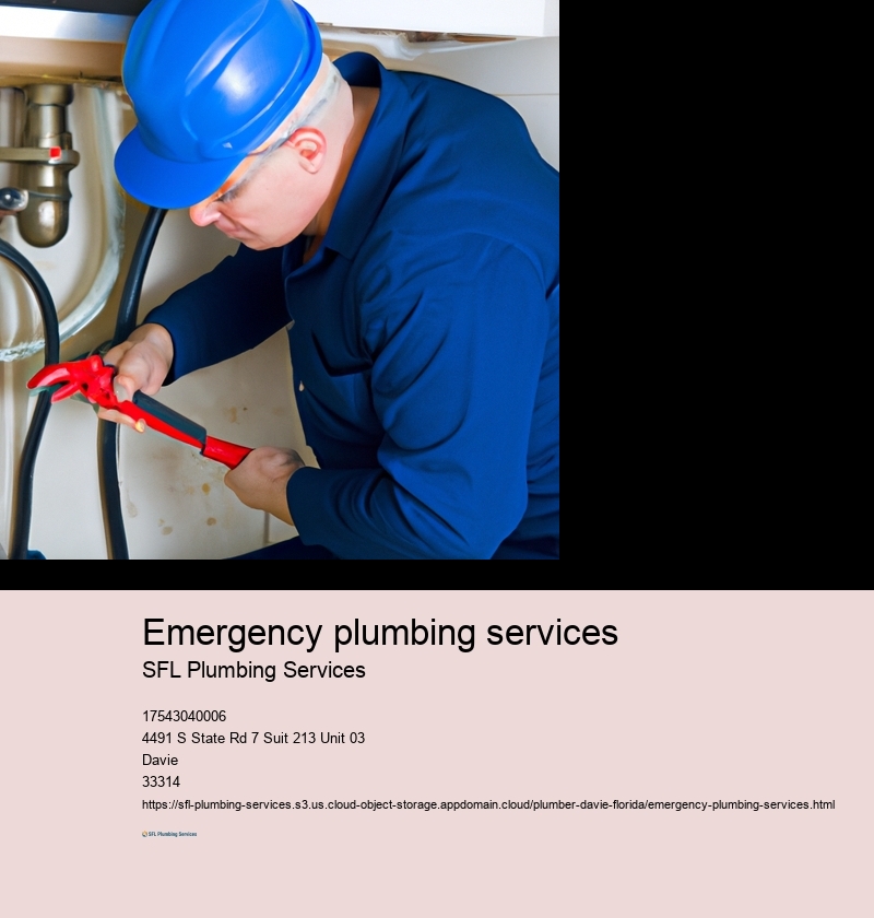 Emergency plumbing services