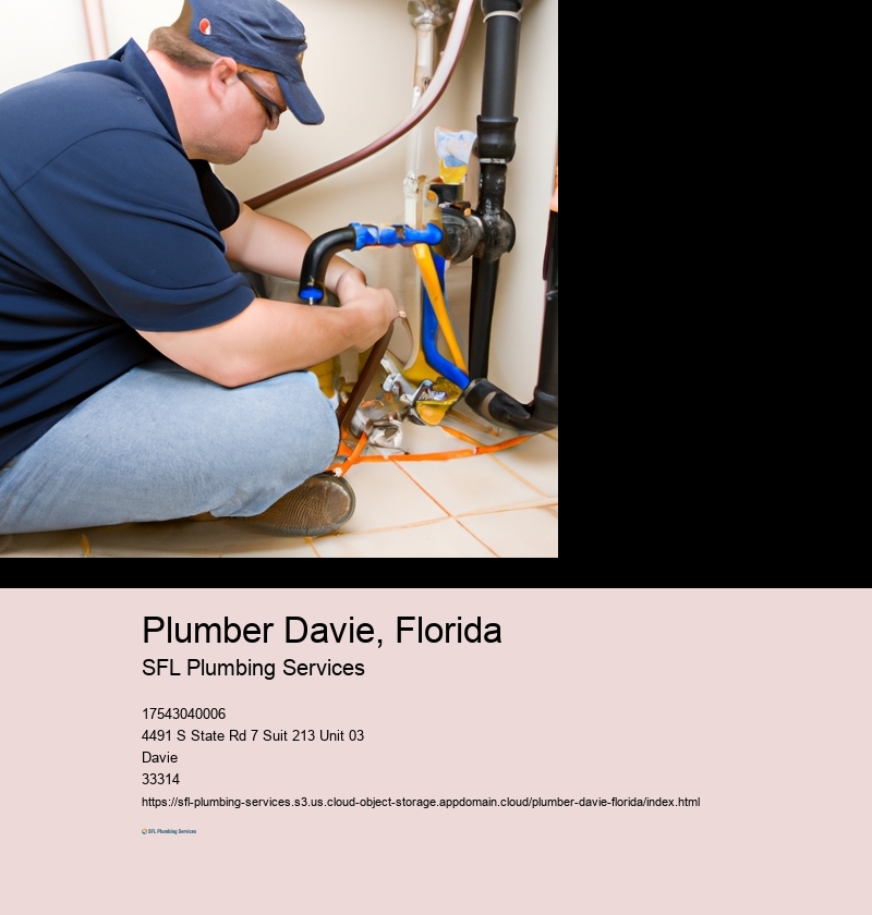 Plumber Davie, Florida