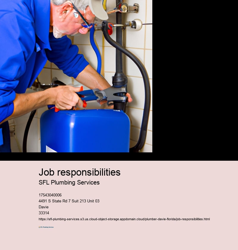 Job responsibilities