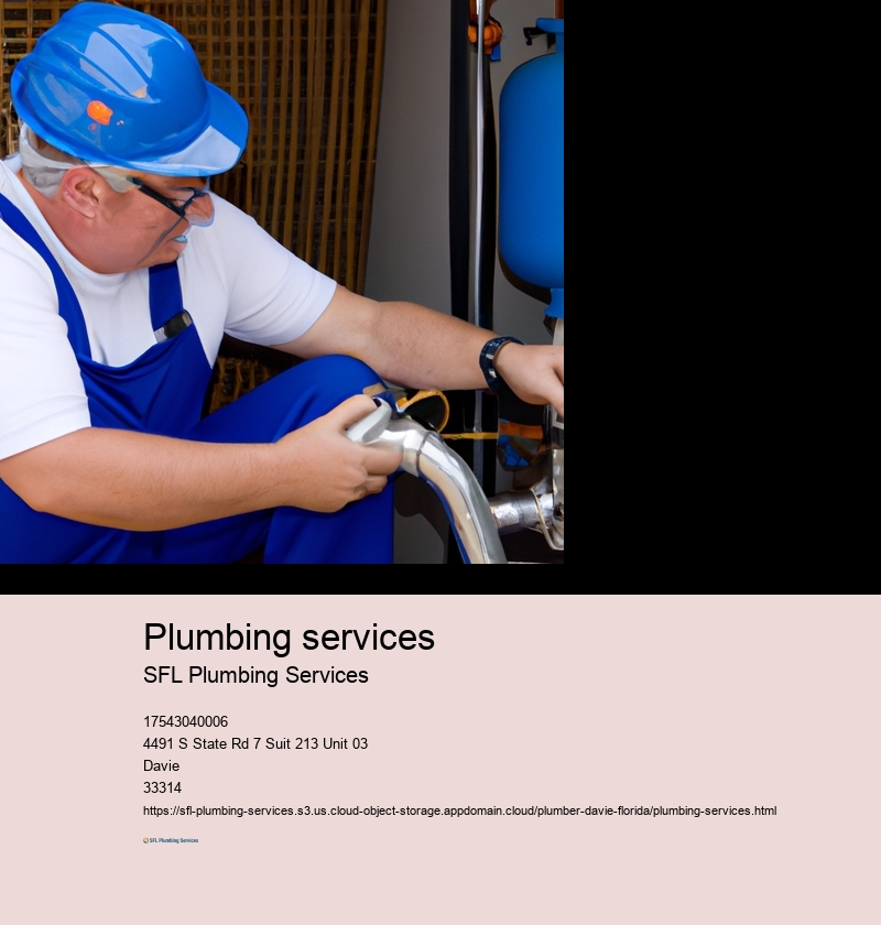 Plumbing services